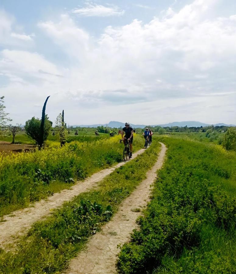 Borgonuovo Rimini
