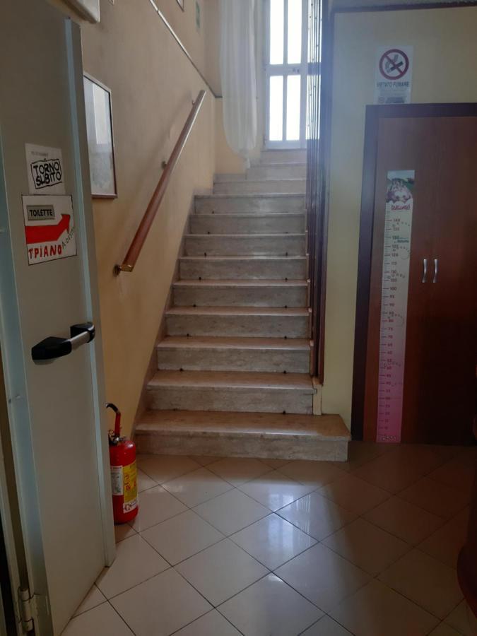 Majorca Hostel *