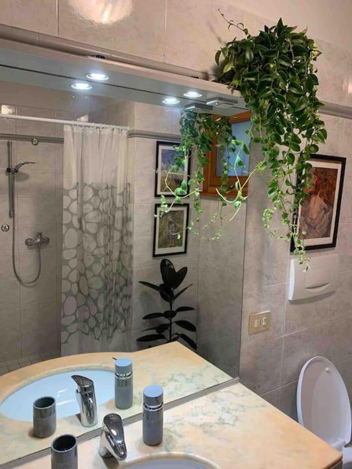 Traveller - 2 Bedrooms * Rimini