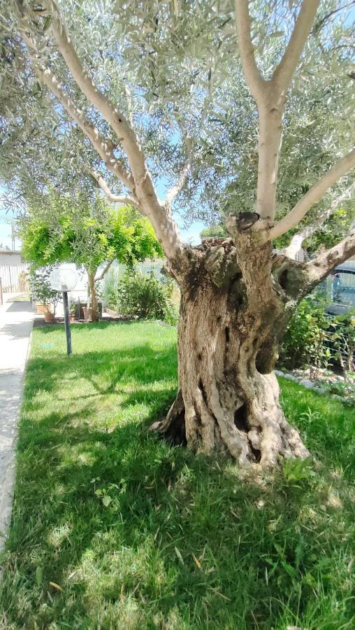 Appartamento Casa Lety Con Giardino, Aria Condizionata E Wifi Rimini