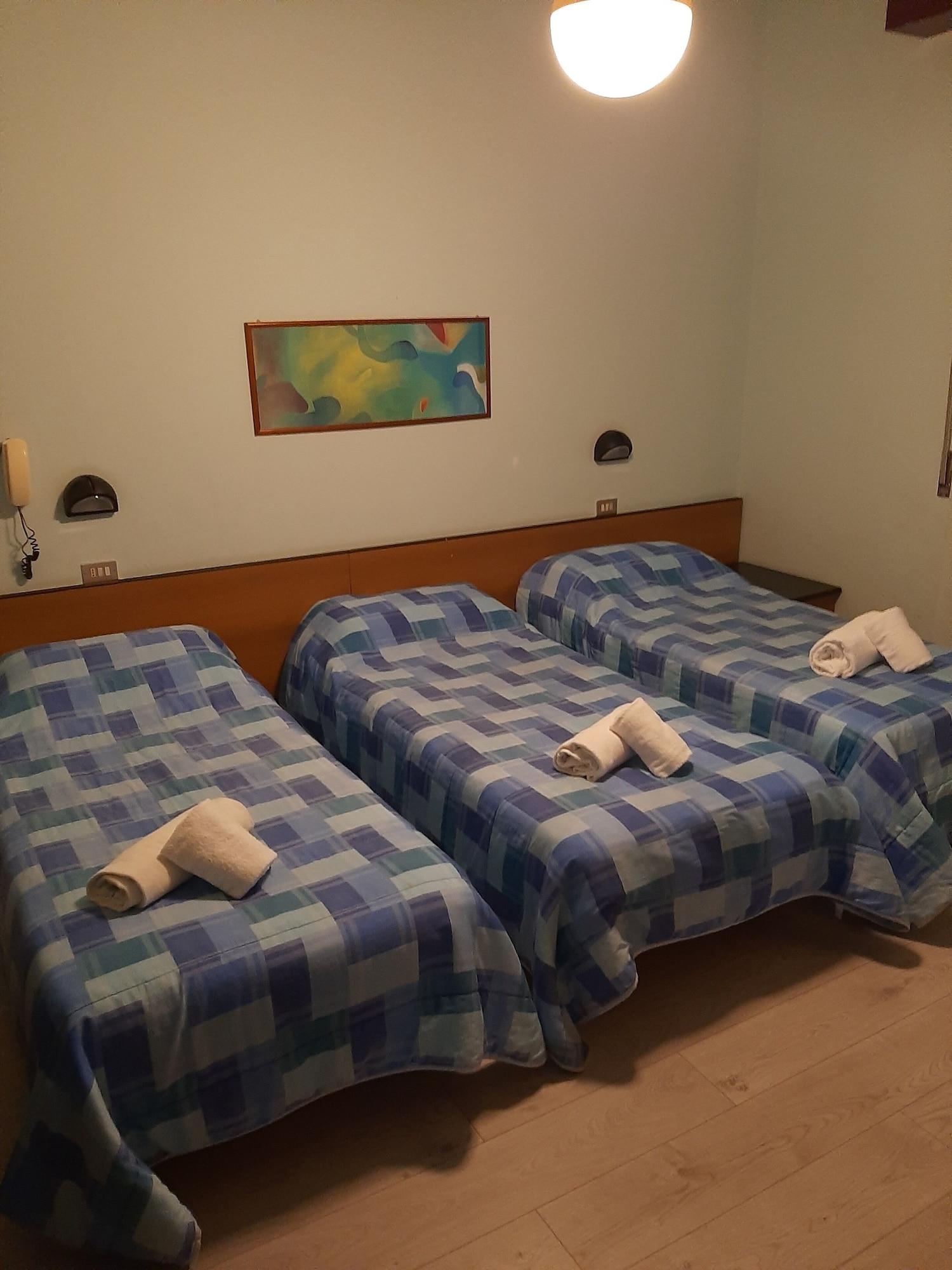 Hotel Niagara 3*