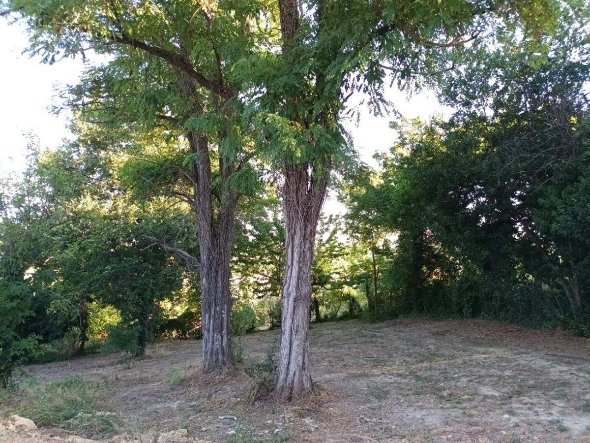 Oasi Santaquilina 33962 - 78613 * Rimini