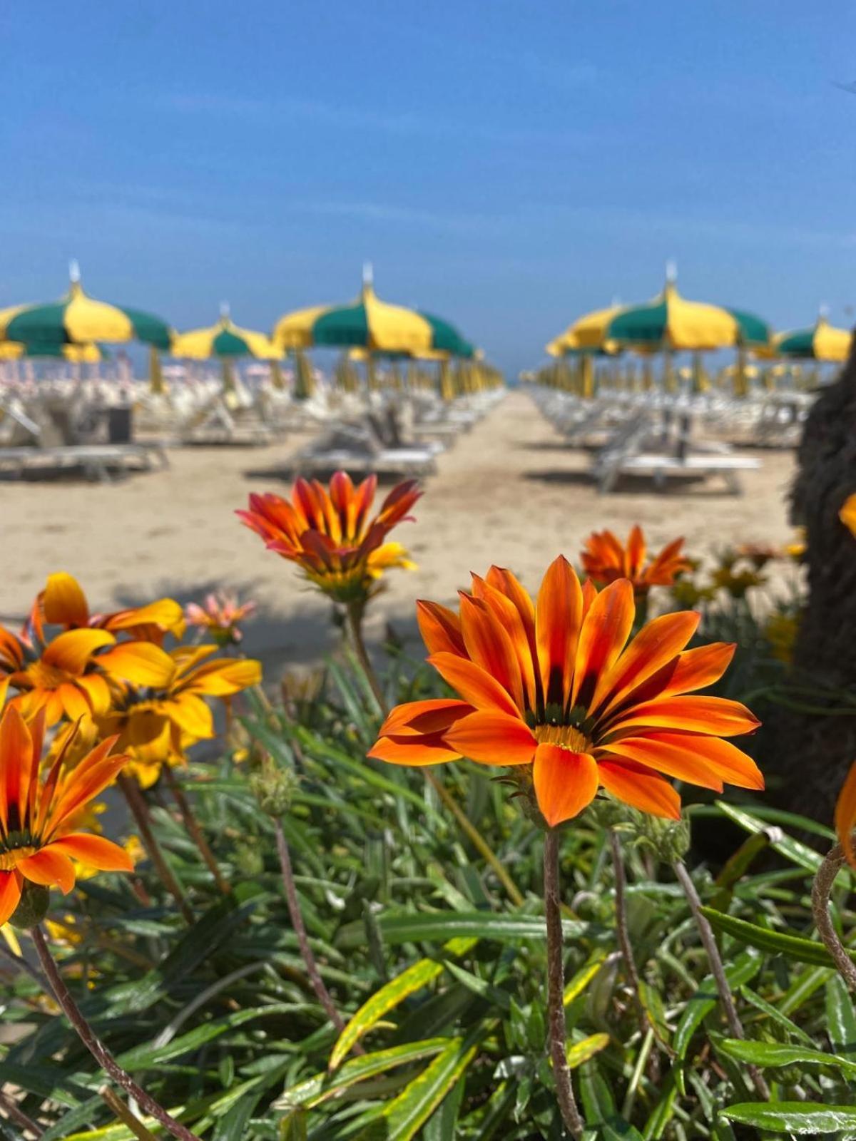 Bay Suites&residence 3*