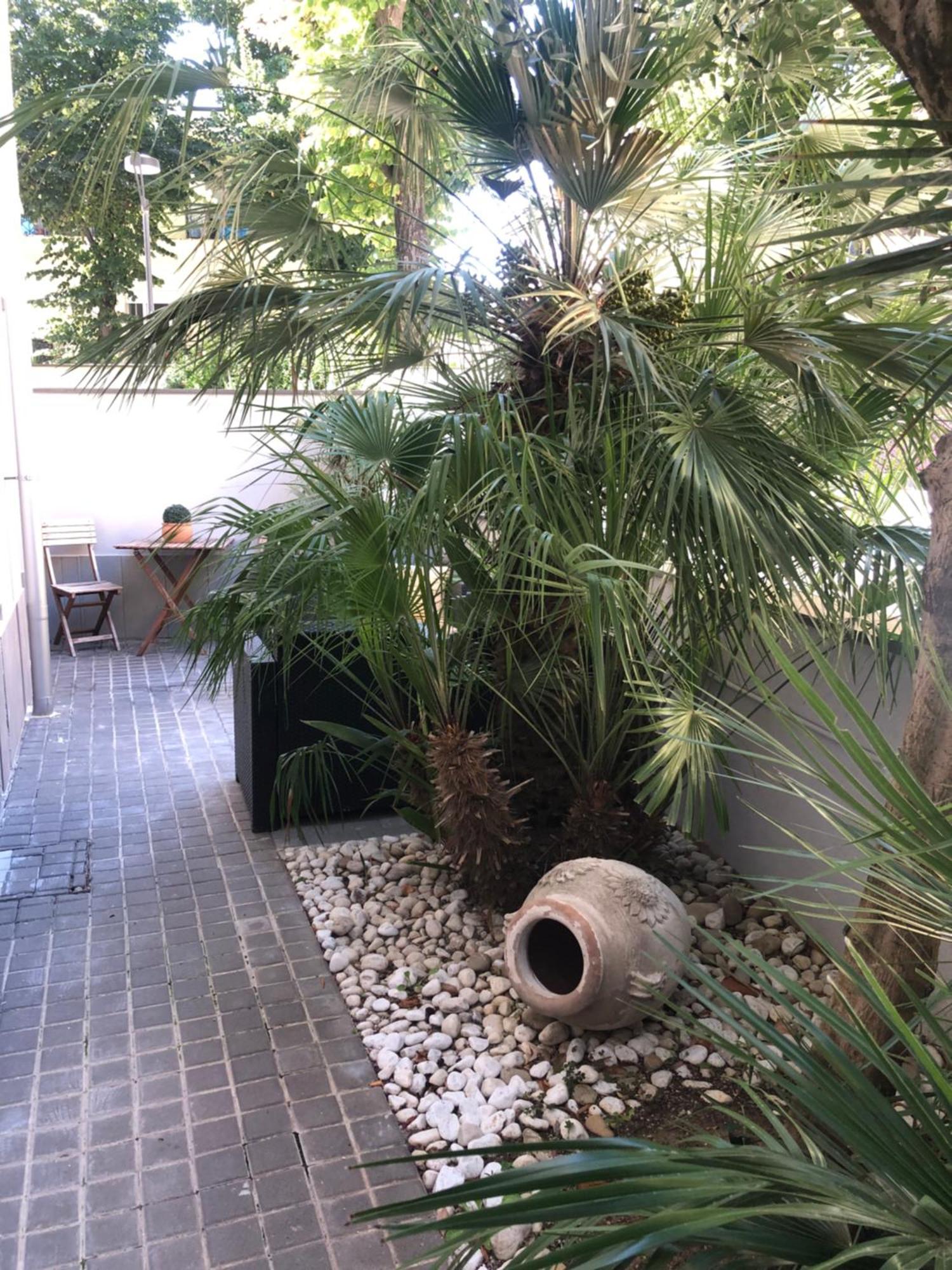 Apartment A Casa Minerva Rimini