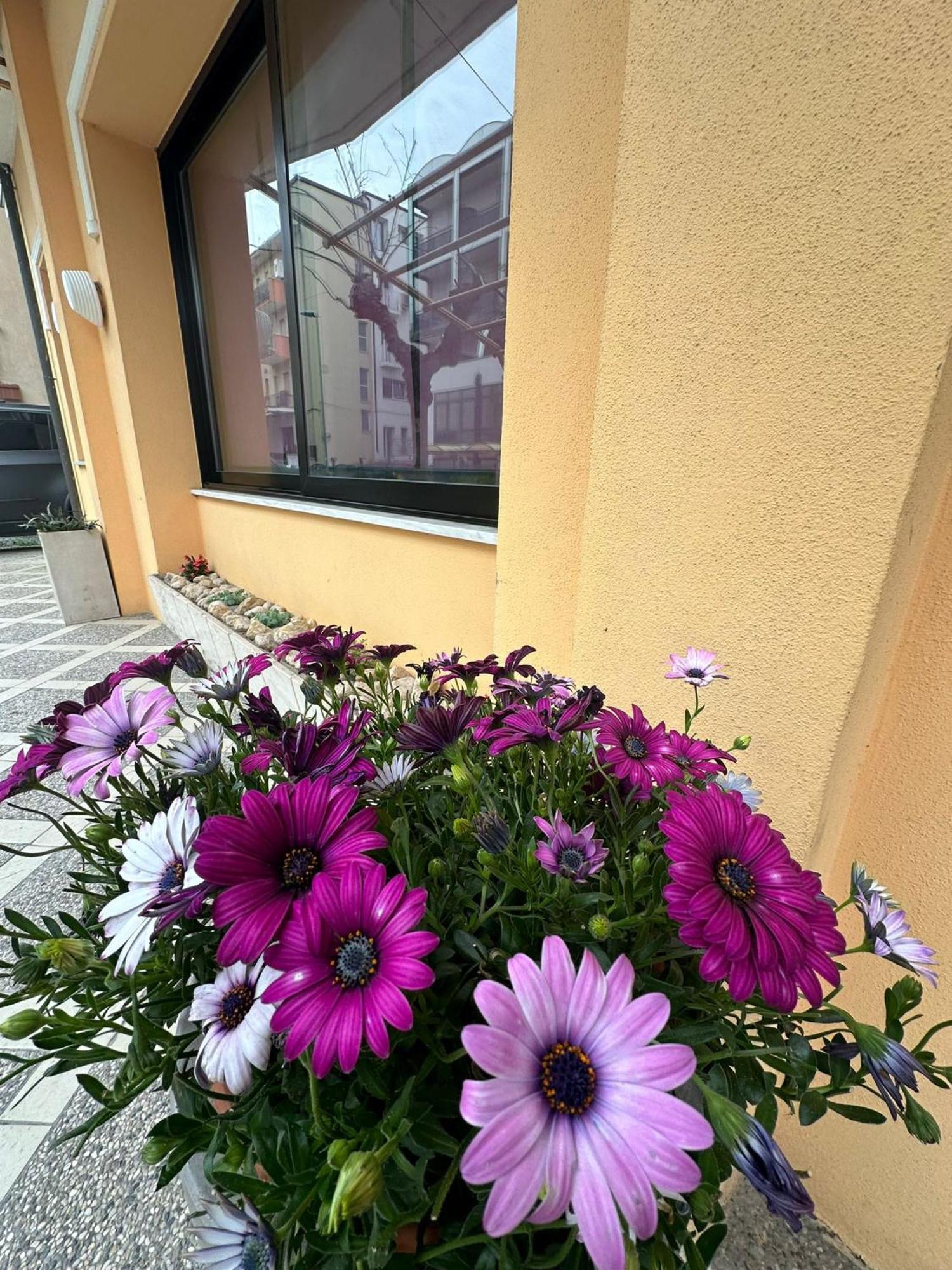 Hotel Till Rimini