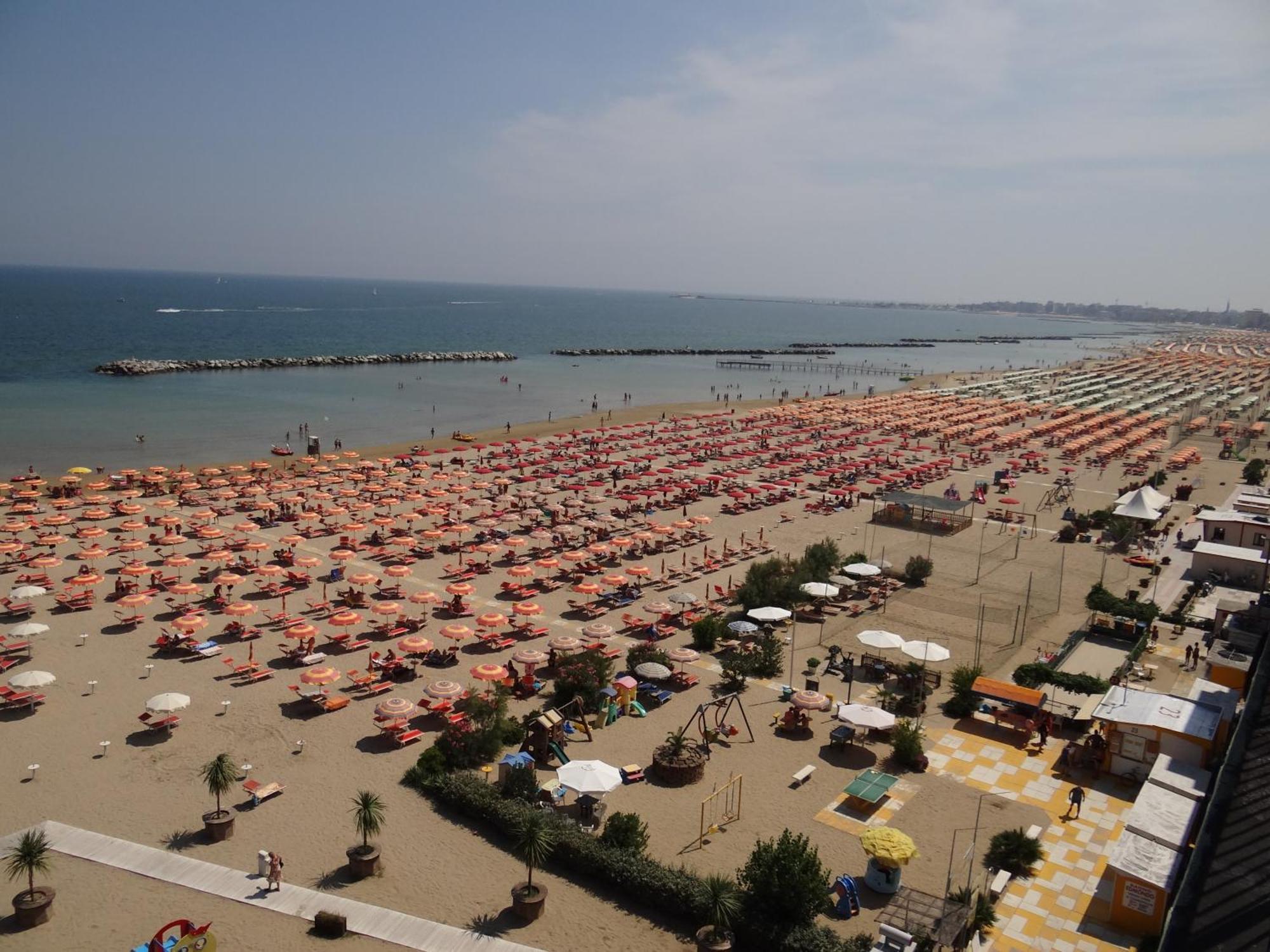Blumen Rimini