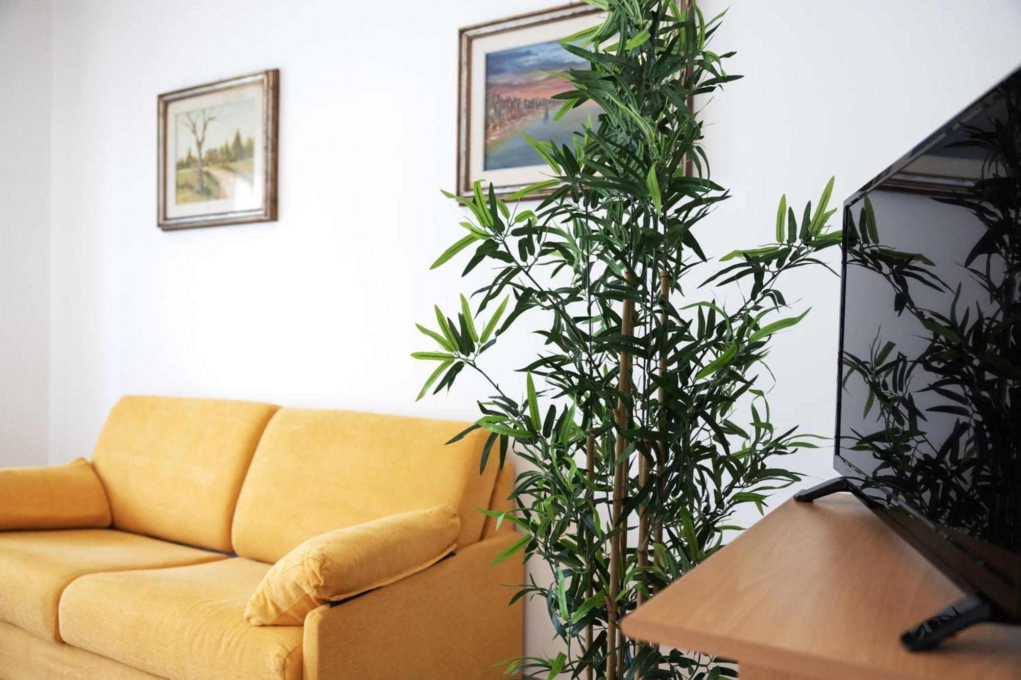 We - Milli House Rimini
