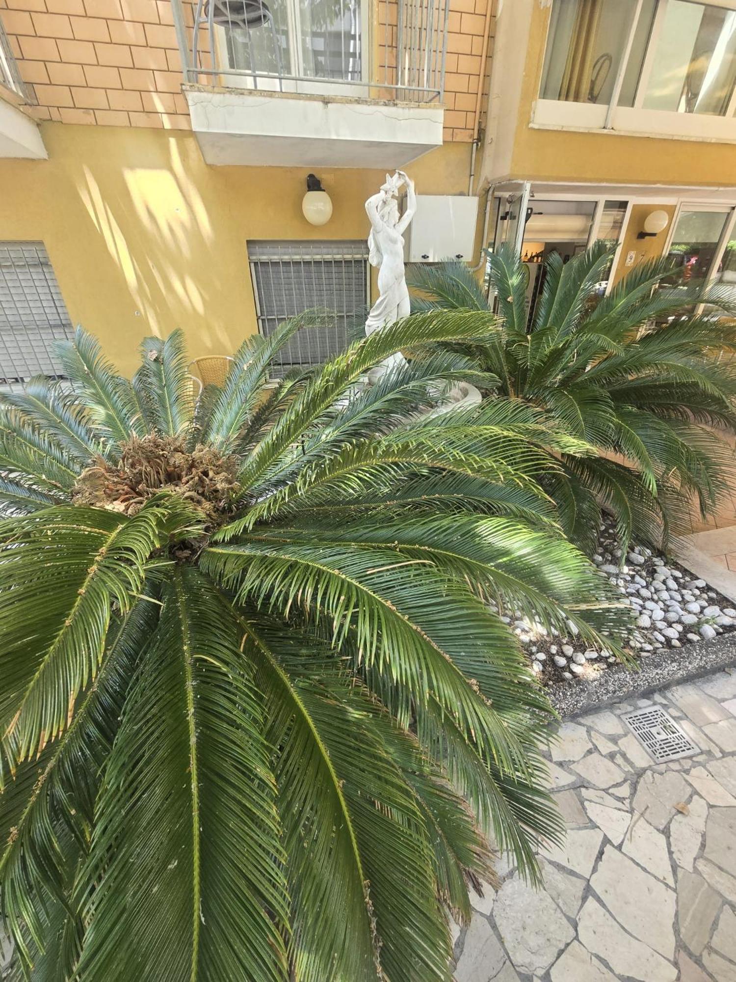 Hotel Majorca