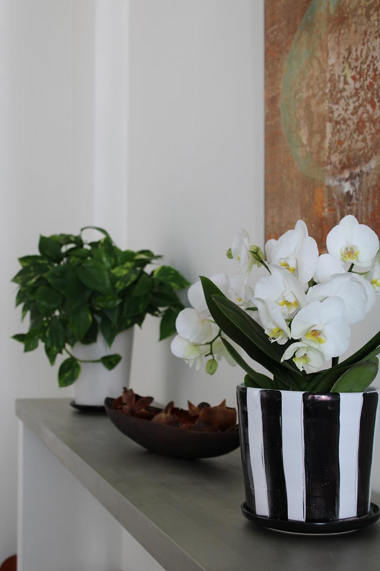 Appartement Unico Loft Rimini
