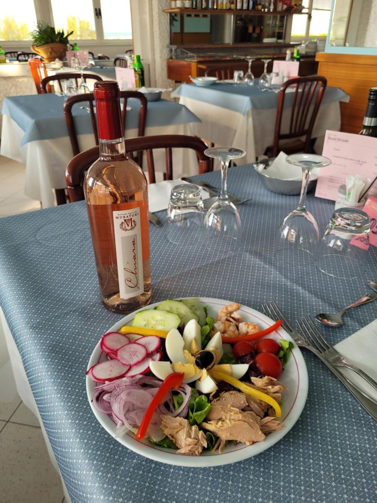 Driade Sul Mare Hotel