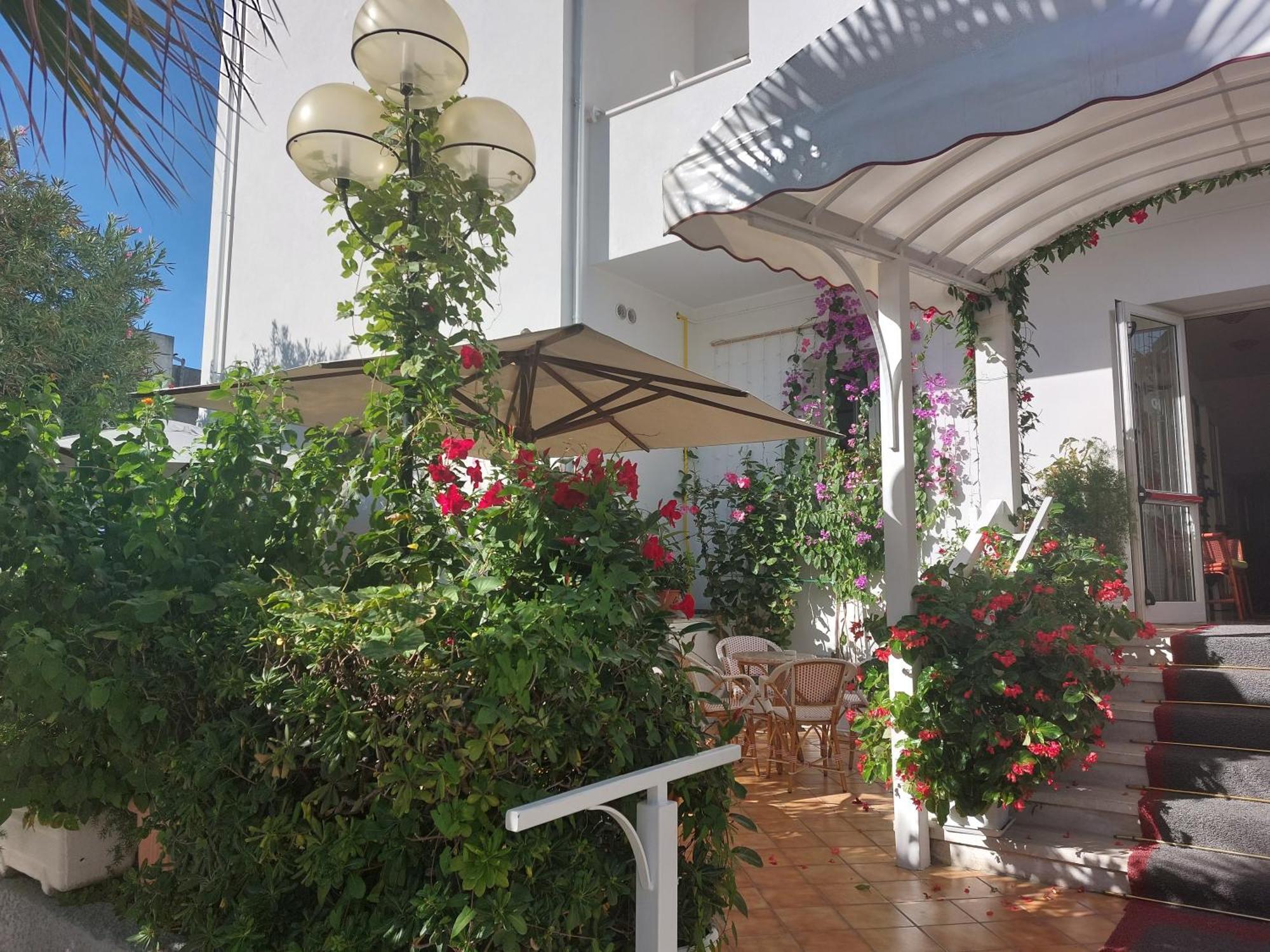 Hotel Driade Sul Mare 3*