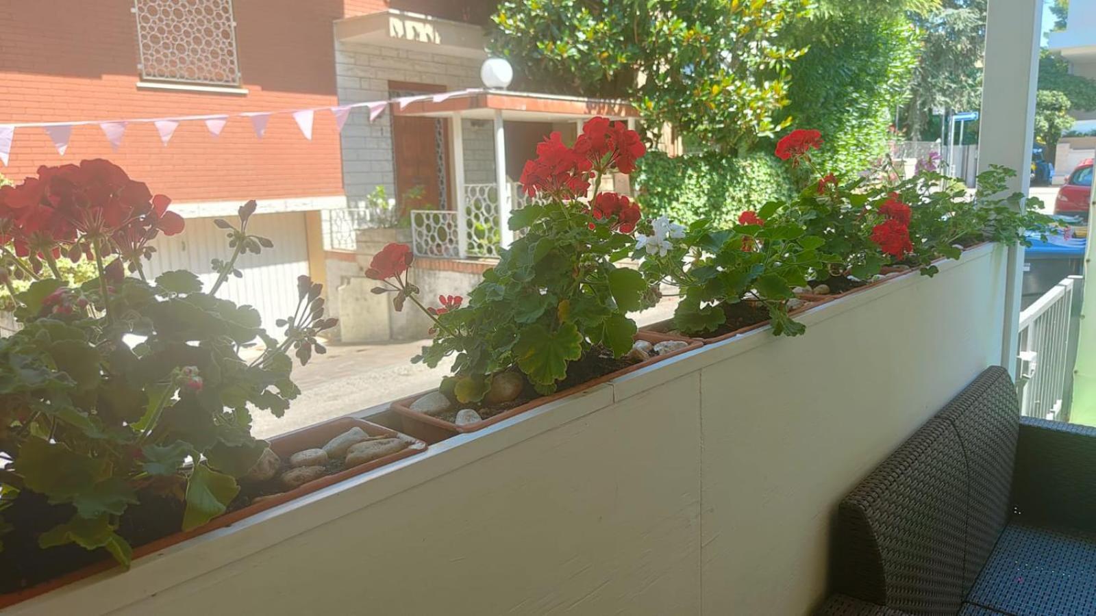 Eriale Hotel Rimini