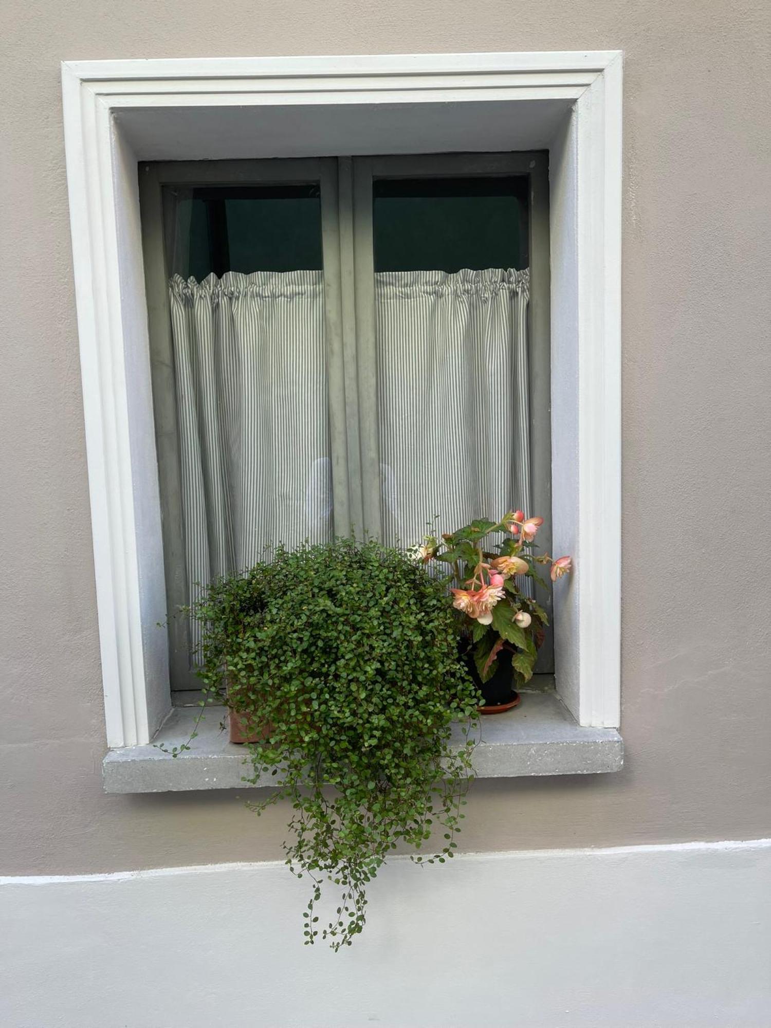 Casa Gastone * Rimini