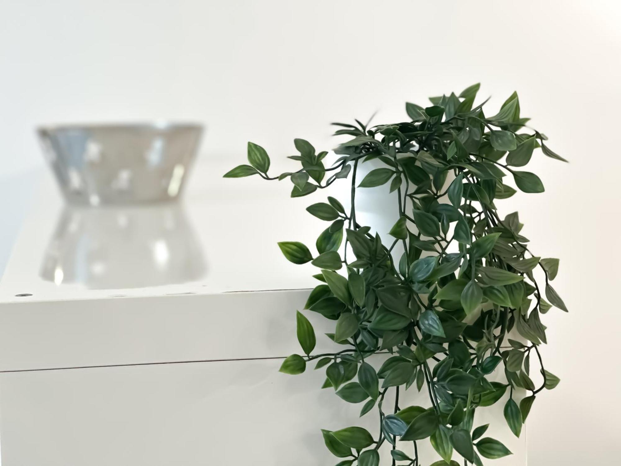 Castelfidardo - Affitti Brevi Italia Apartment *