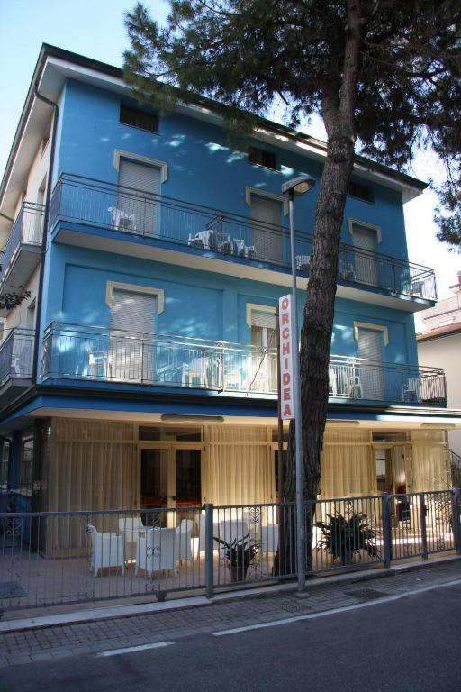 Orchidea Rimini