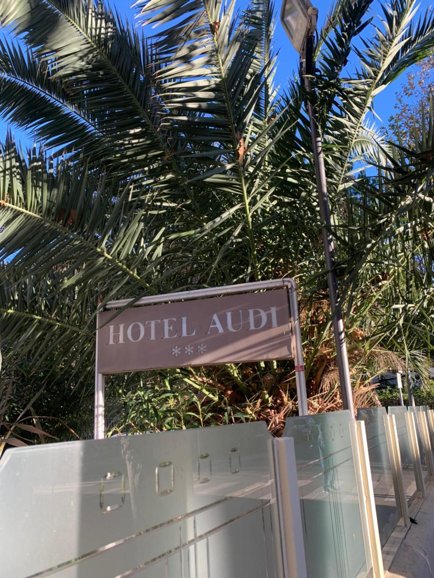 Audi Hotel 3*