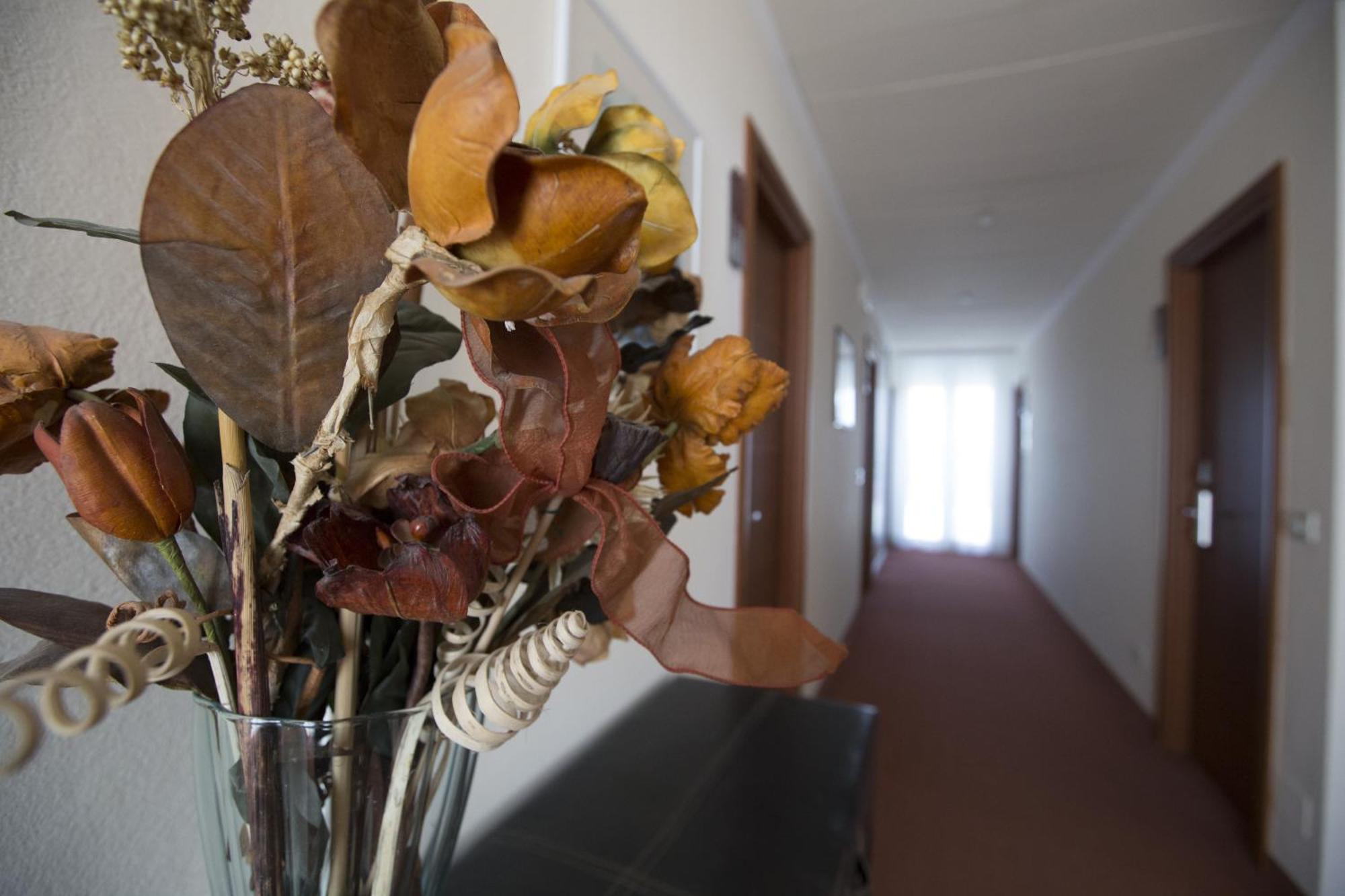 Hotel Brunella
