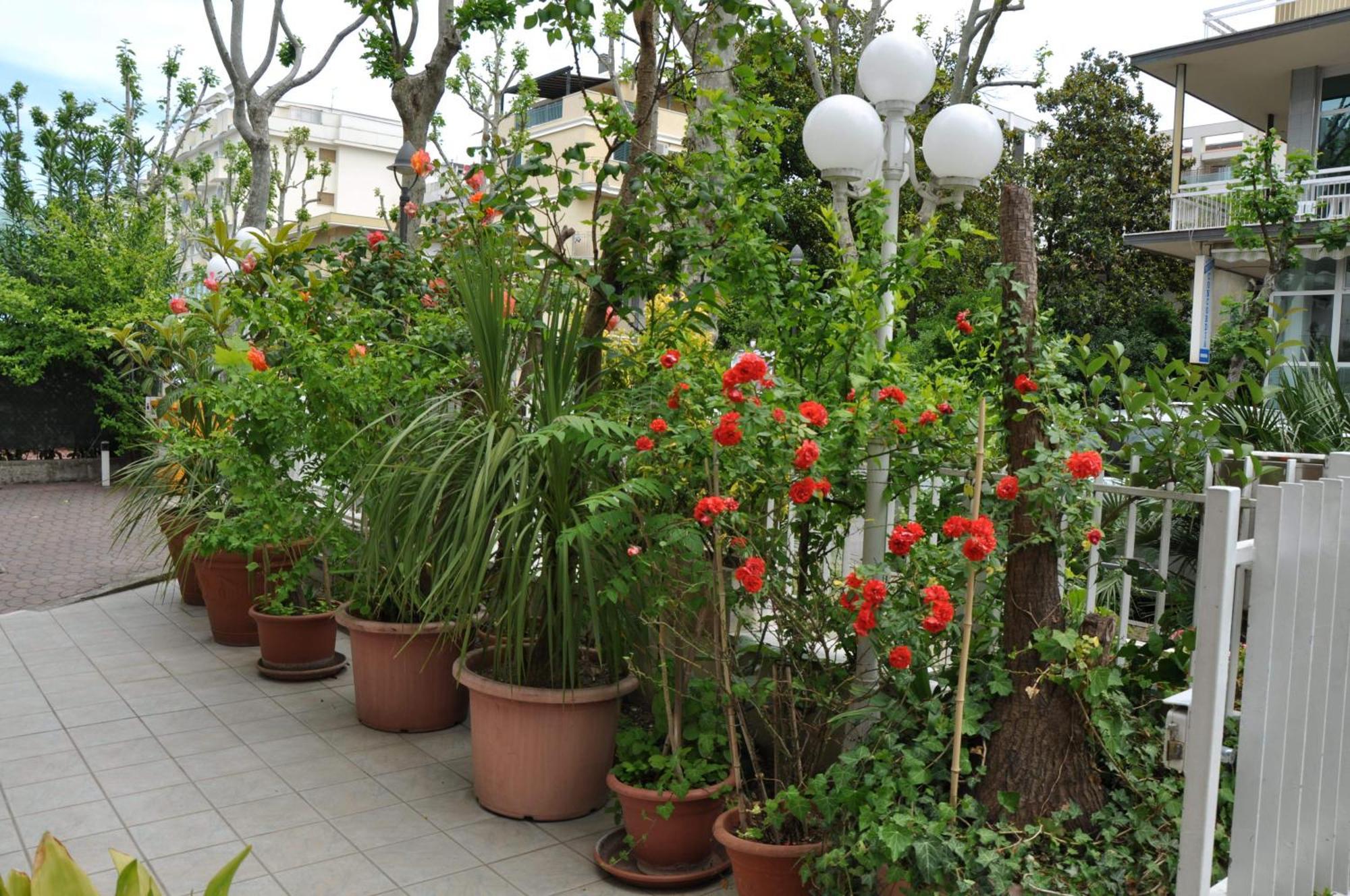 Hotel Arno Rimini