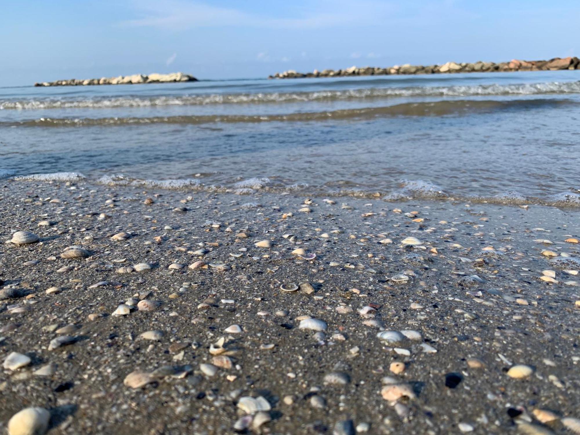 Sammaritani Hotel Rimini