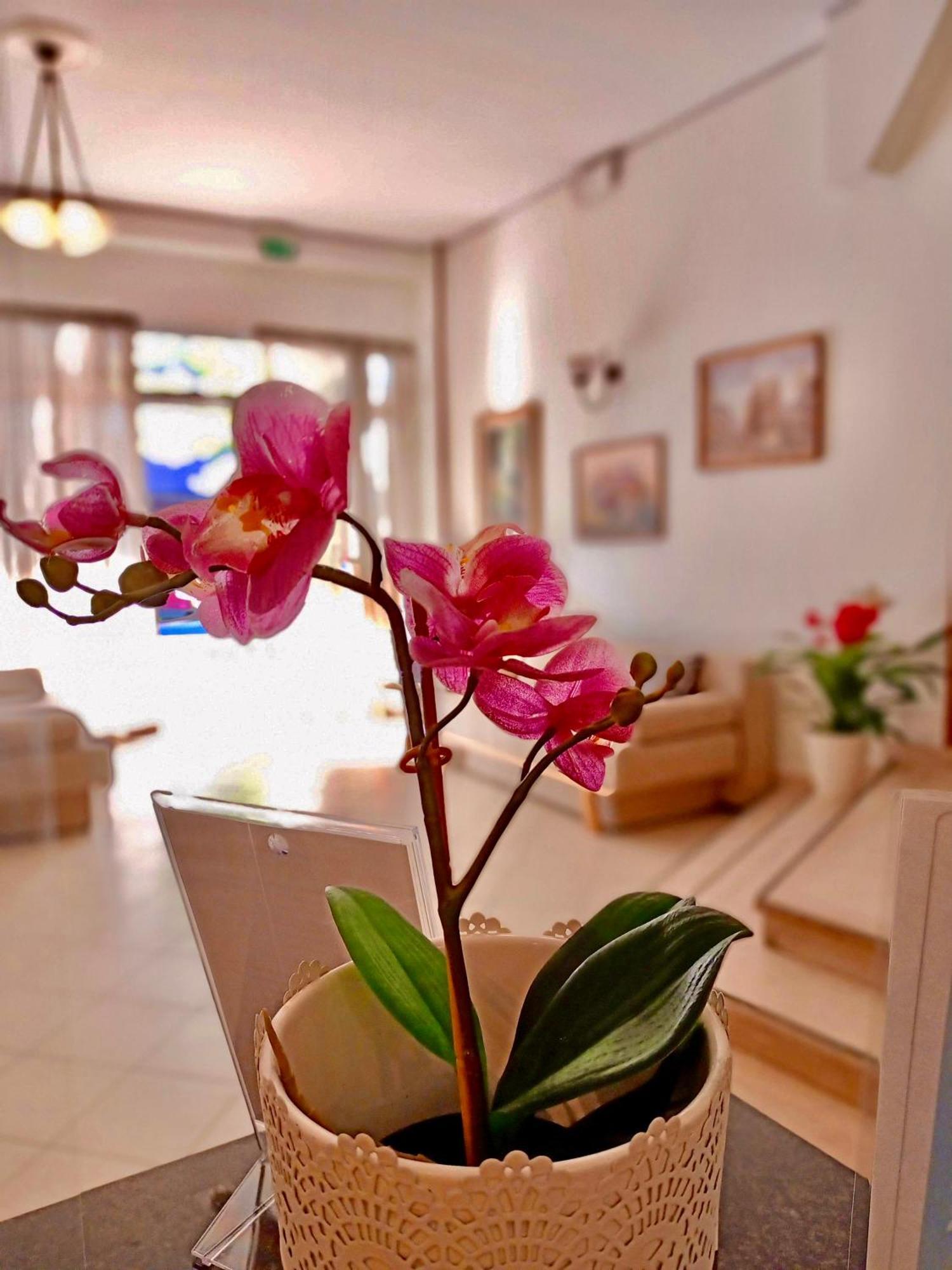 Rossella Hotel