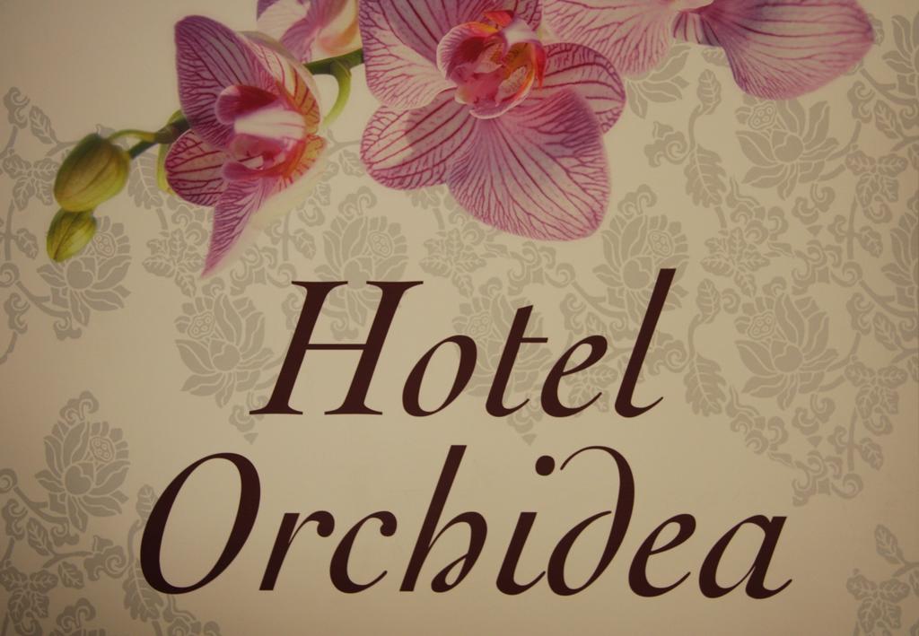 Orchidea 3*