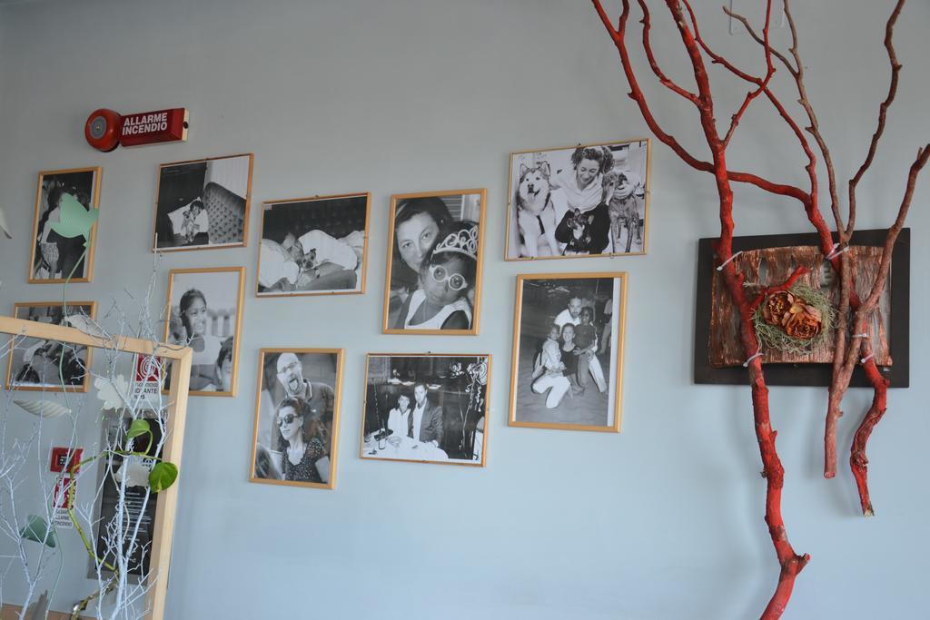 Hotel Corallo Rimini