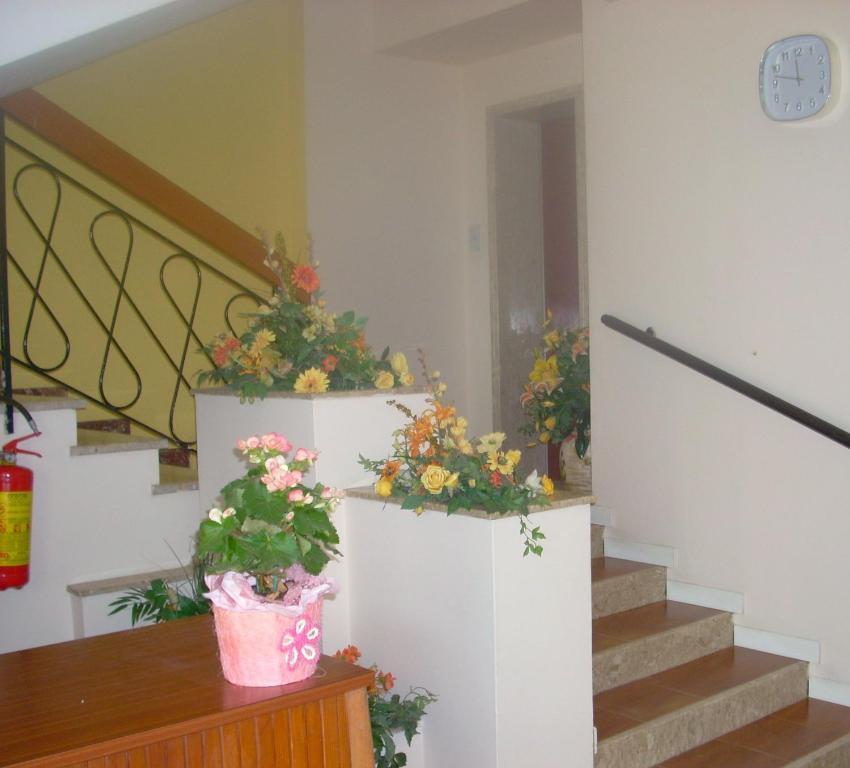 Cosmopolita Hotel