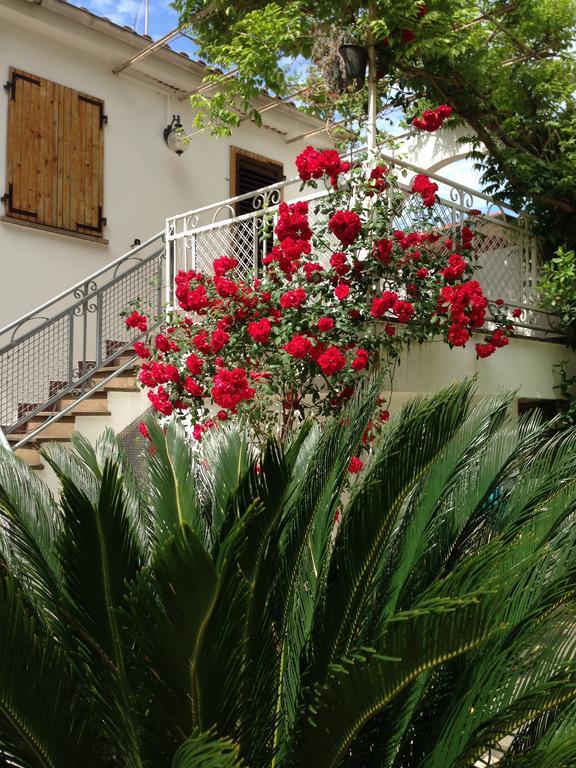 Noidue Hotel 2*