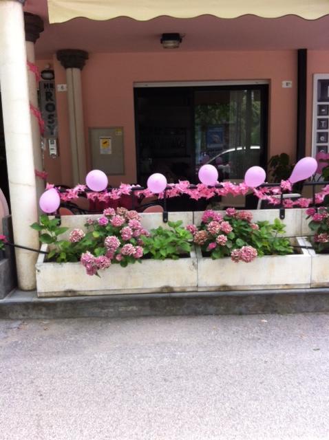 Hotel Rosy 3*