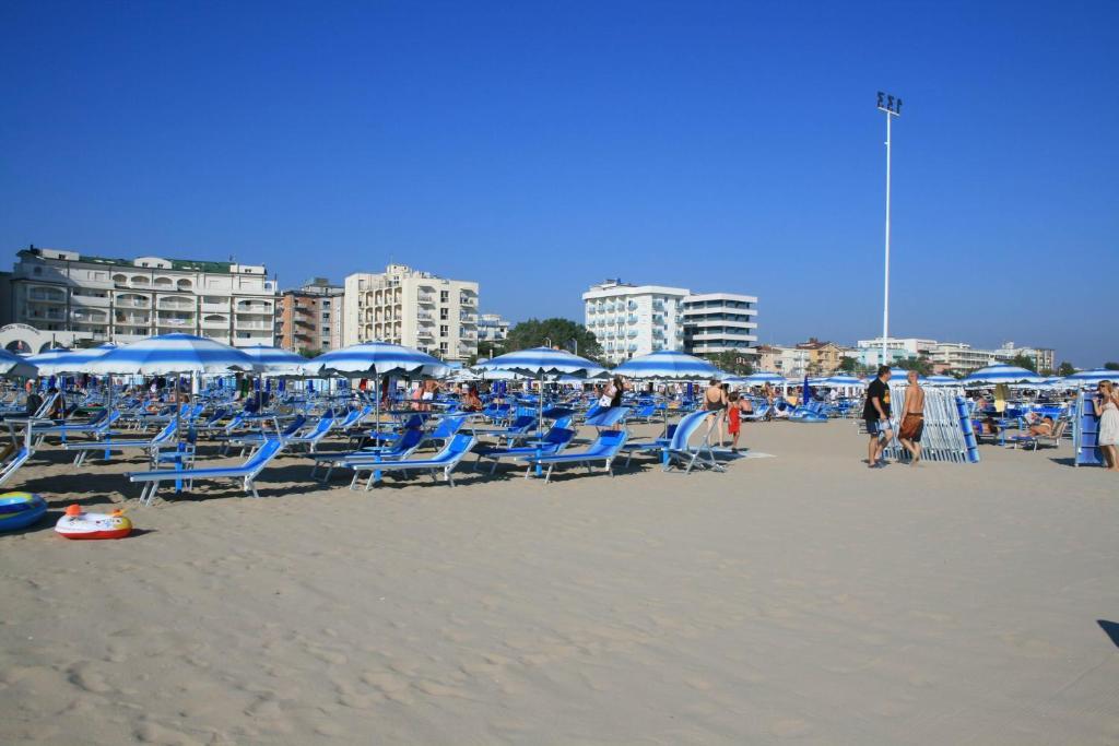 Ave Rimini