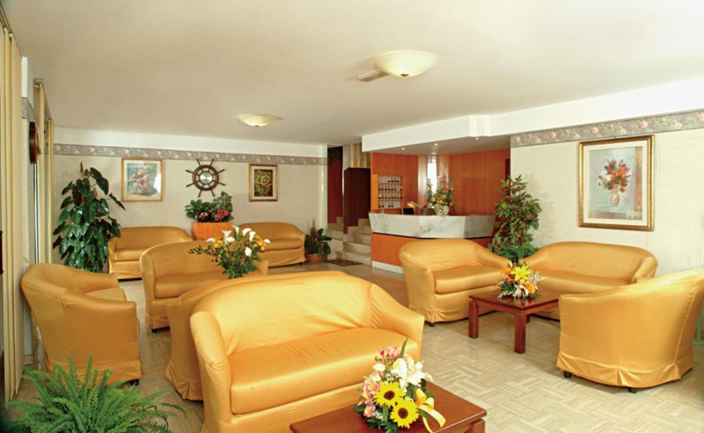 Solidea 3*