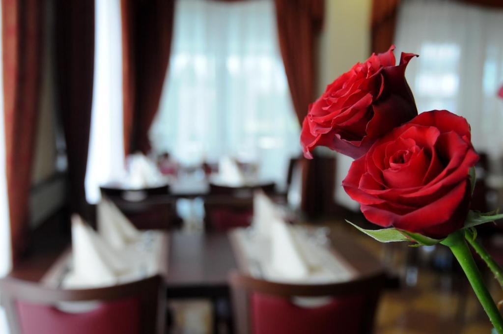 Hotel Dei Platani 3*