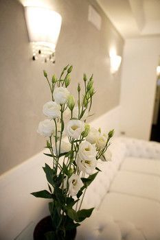 Le Viole Aparthotel Rimini