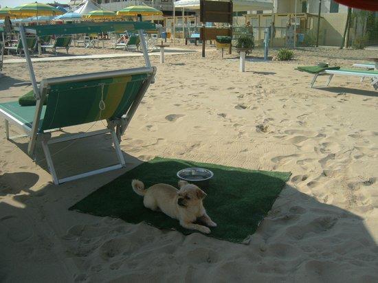 Costablu Rimini