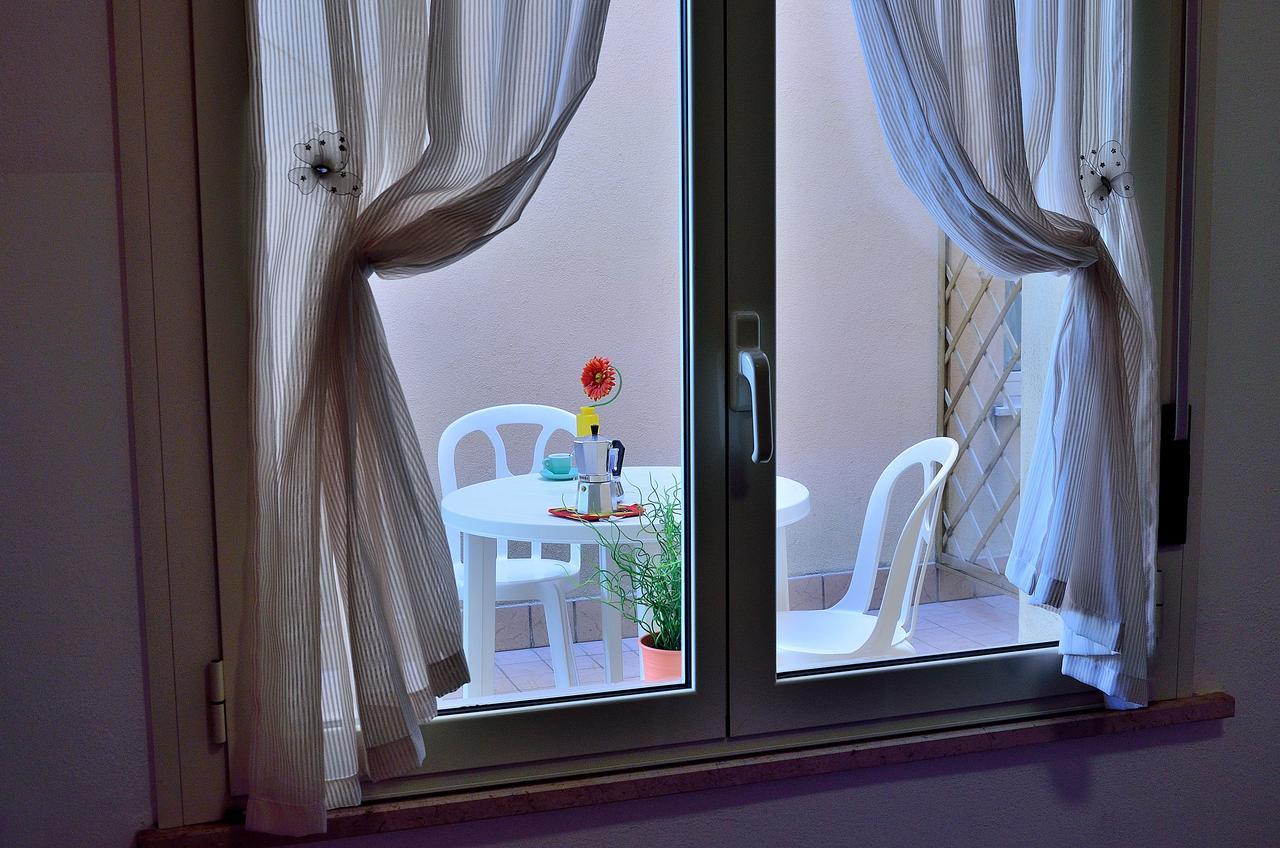 Verbena Rimini