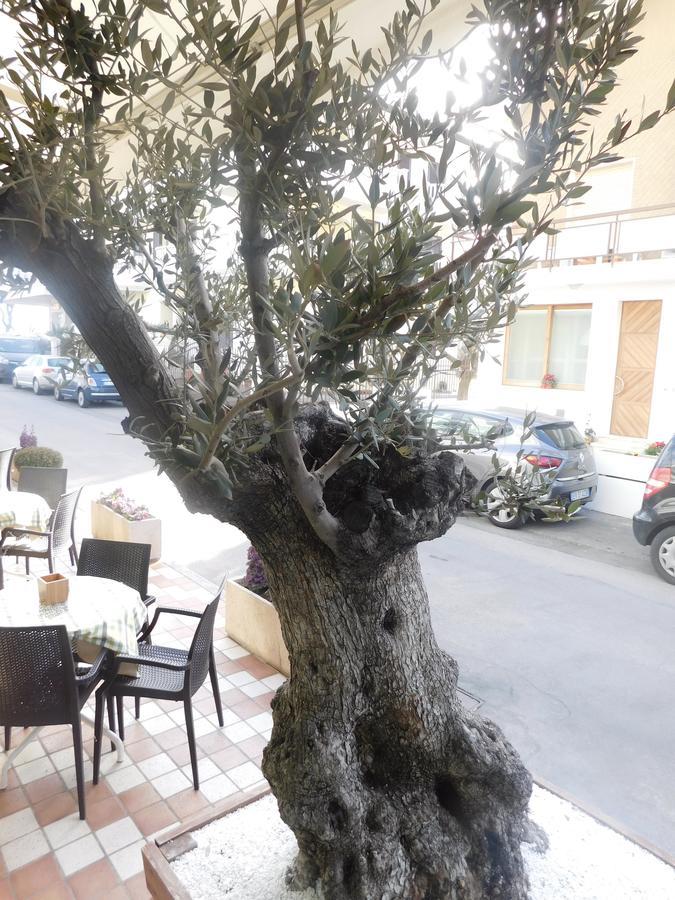 Hotel Dolores 3*