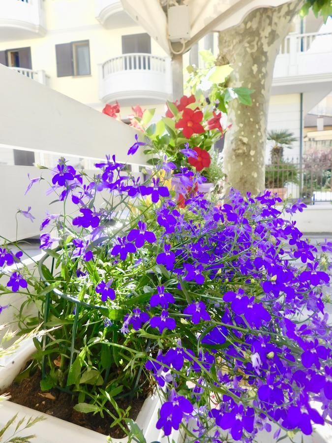 Dolores 3* Rimini