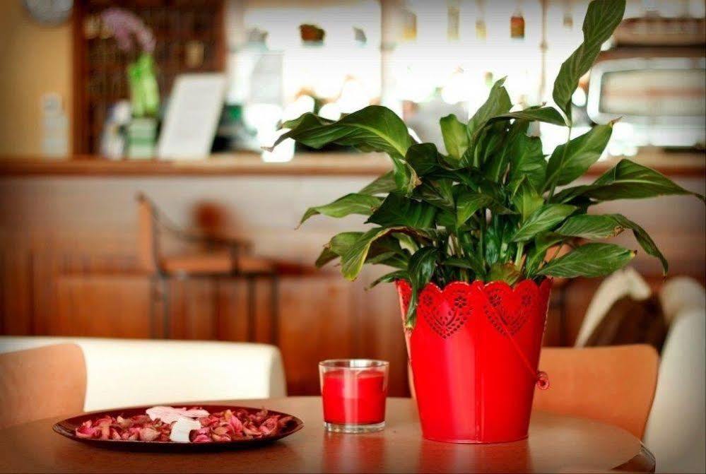Hotel Jasmine