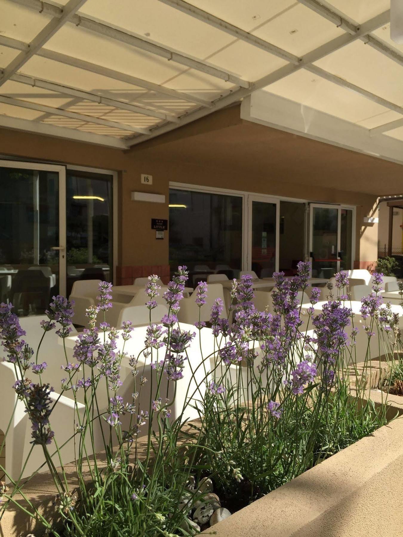 Little Hotel Rimini