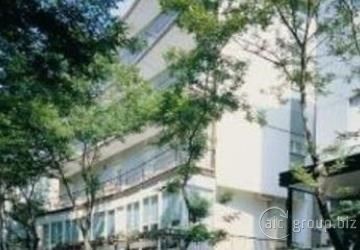 Plaza Hotel 3*