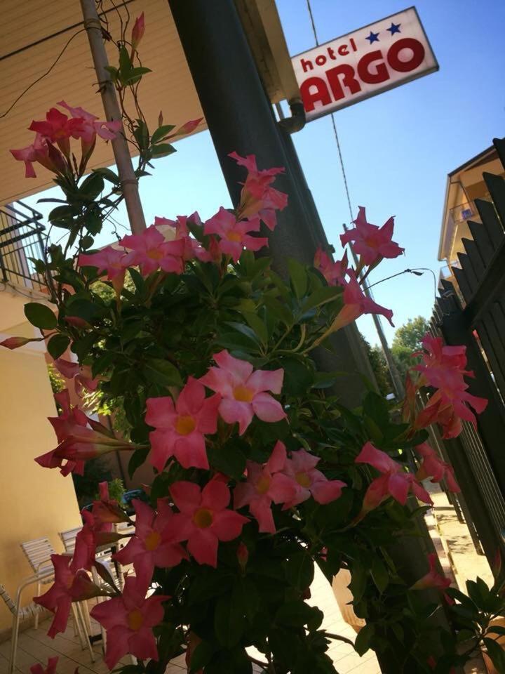Argo Rimini