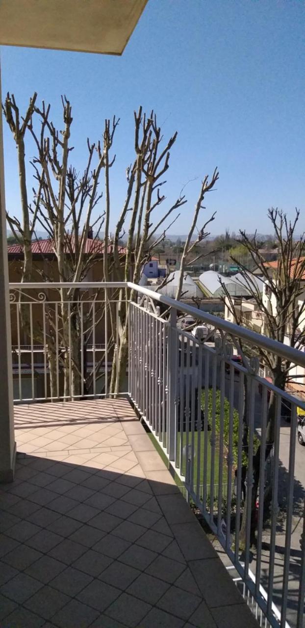 Hotel Alfa Anche In 2*