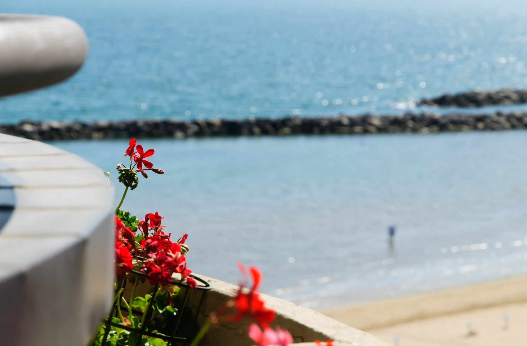 Appart hôtel Belvedere Vista - Seafront Rimini
