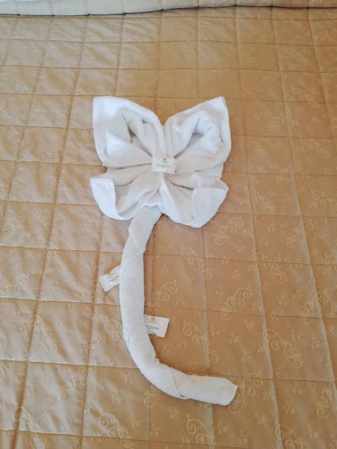 Maria Grazia 3* Rimini