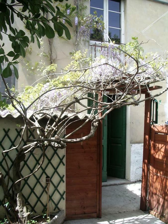 Il Glicine Appartement *