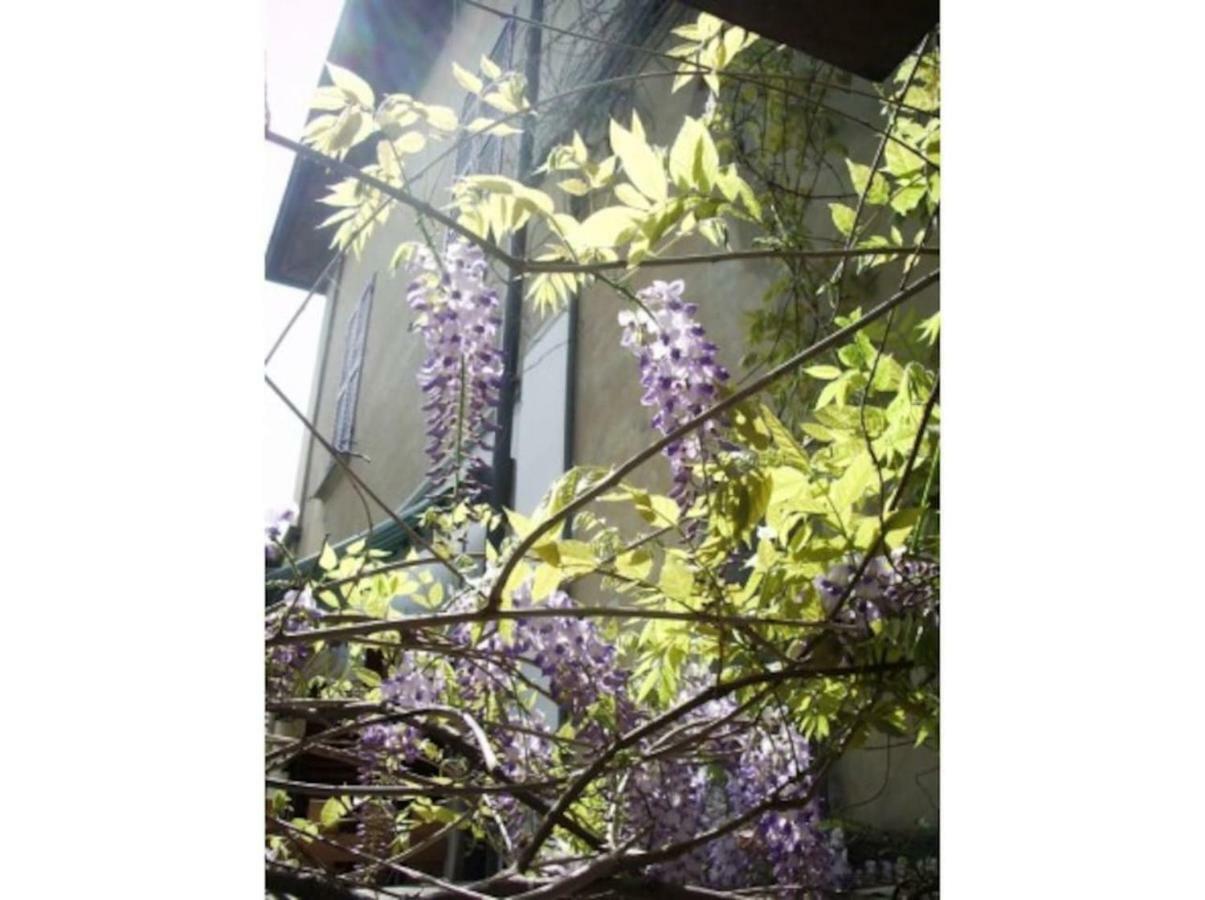 Appartement Il Glicine