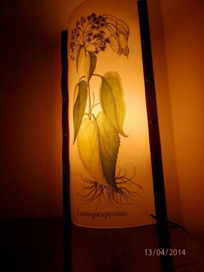 Appartement Il Glicine