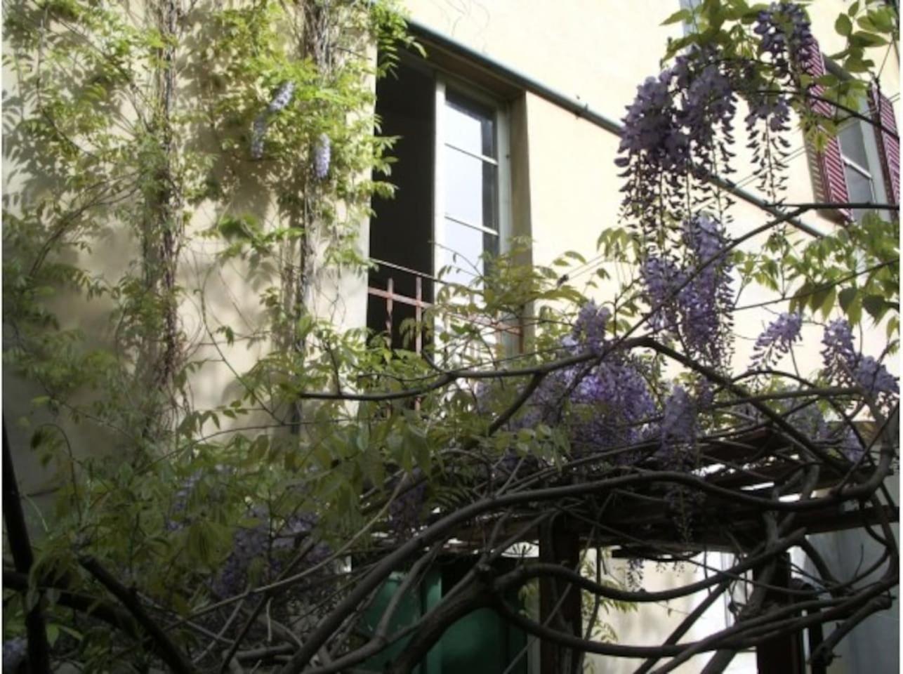 Il Glicine Appartement