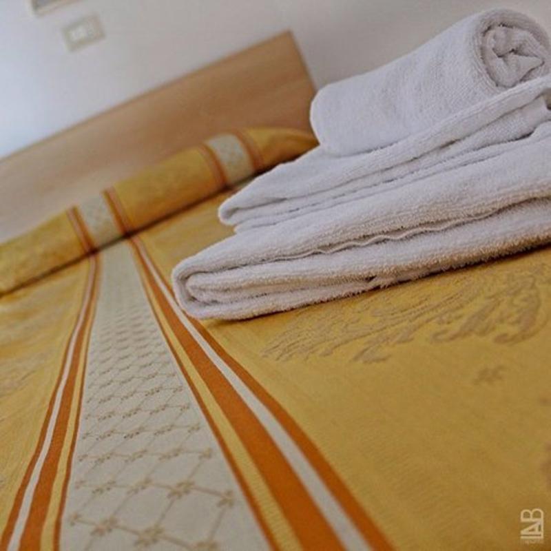 Hotel New Primula Rimini