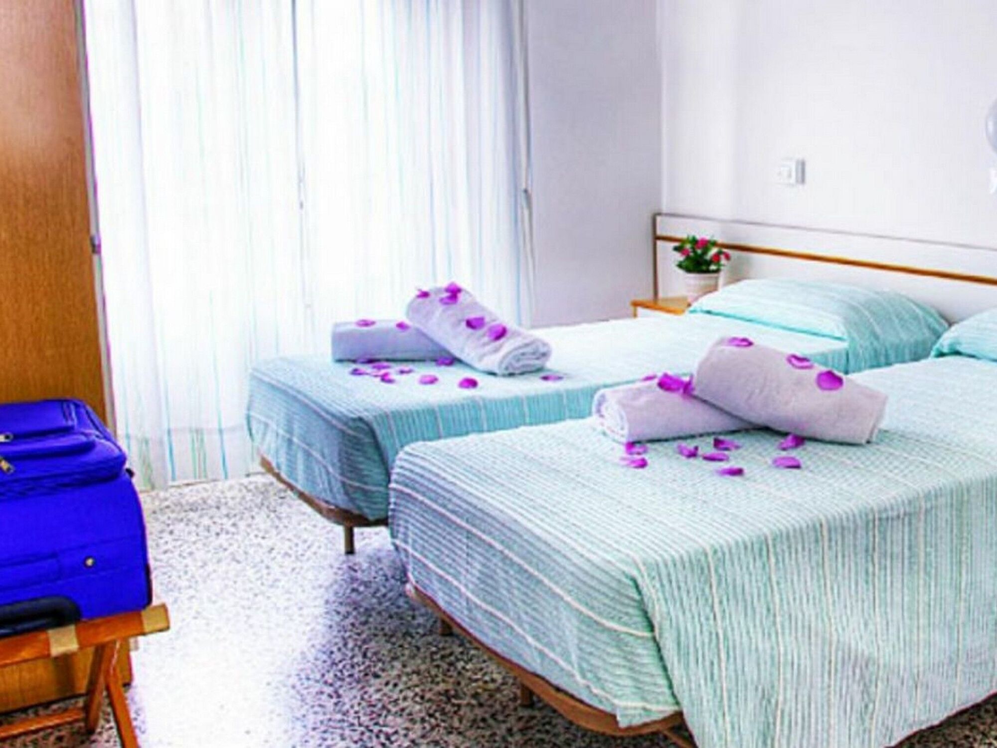 Hotel Iris